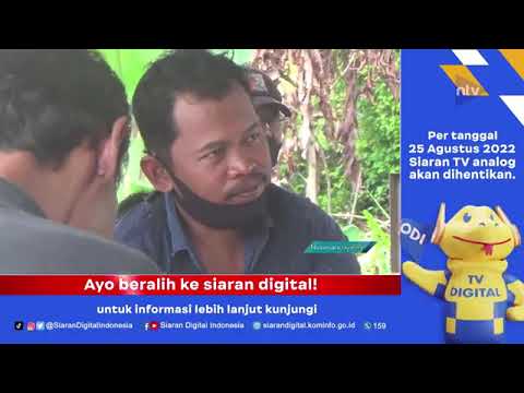 Pasinaon Prospek Burung Murai Batu