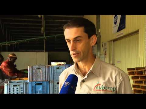 The avocado industry is booming