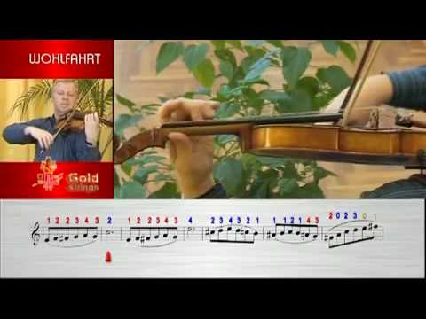 Wohlfahrt training dvd performed by Karoy Gabor Kincses