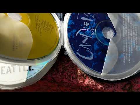 Found A CD Wallet on the Curb (November 6 2018)