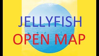 Local Natives - Jellyfish (OPEN MAP - READ DESCRIPTION!)