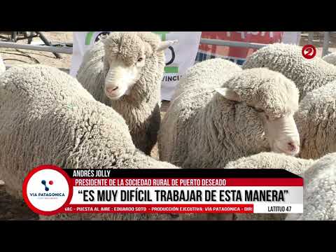 #ENVIVO #PuertoDeseado #SantaCruz #Argentina Noticias de Ultima Hora!