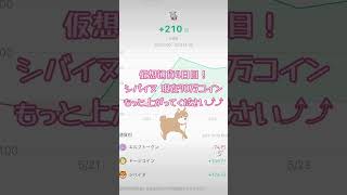 数年後に億り人になれるよう今のうちにしこみます🐶 #仮想通貨 #シバイヌコイン #投資 #ビットコイン #NISA #副業
