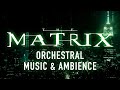 The Matrix Cityscape With Orchestral Music Ambience