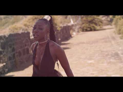 Zafema - Fling it Up [Official Promo Video]