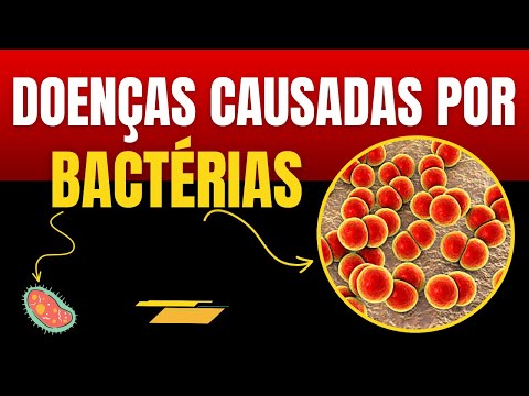 DOENÇAS BACTERIANAS. Sintomas, Tratamentos e Prevenção