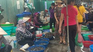 Du Lịch Hạ Long: Chợ Hải Sản Ngon Nhất