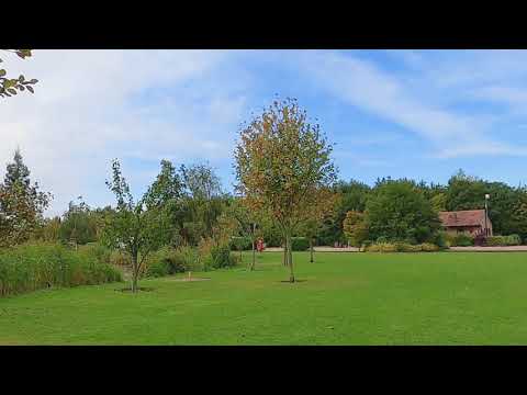 Wagtail Country Park Affiliated Site