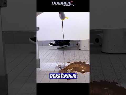 Дикие туалетные пранки набирают популярность! | Главные Новости