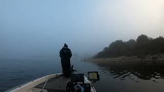 Roman Made Negotiator