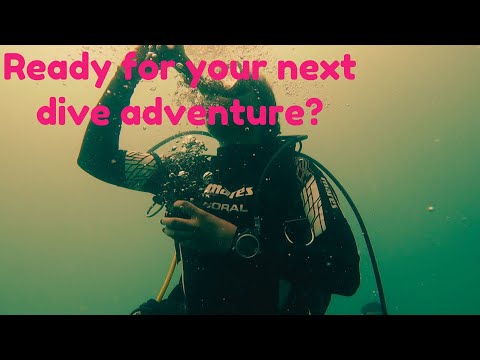 Gear Up for Adventure: Dive into the Ultimate Dive Equipment Assembly Guide