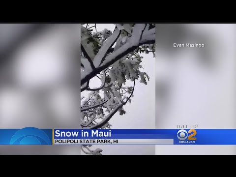 Wild Weather! Snow Falls In Maui
