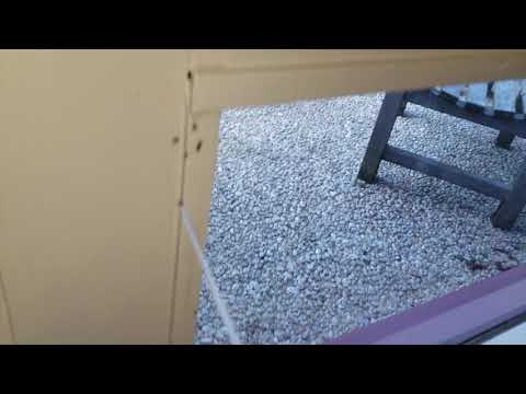 Pavement Ants Busting Out of a Window in Hightstown, NJ