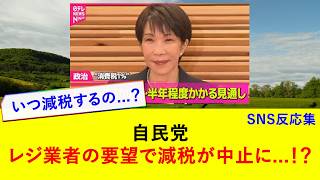 自民党 レジ業者の要望で減税が中止にw