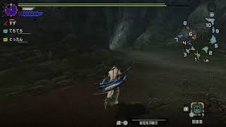 モンスターハンターXX　part4　村クエ消化