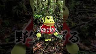 あつもり面白集#４ #孝 #ゲーム実況 #実況