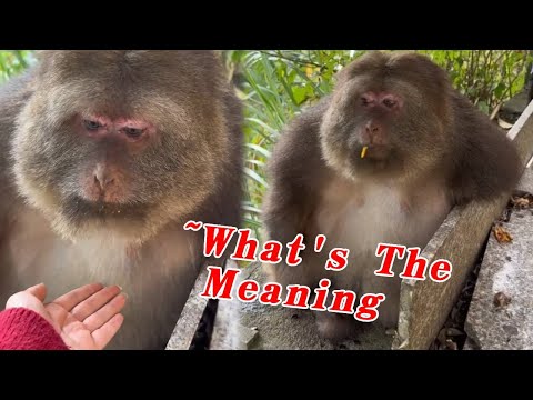 Xingxing Actively Cooperates With Grandma To Take A Bath.