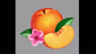 Phoenix - Chloroform