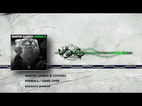 Martin Garrix ft. LOOPERS - Animals Game over (Martin Garrix mashup)