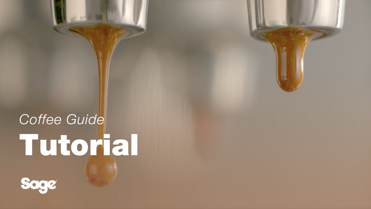 Getting your first extraction right