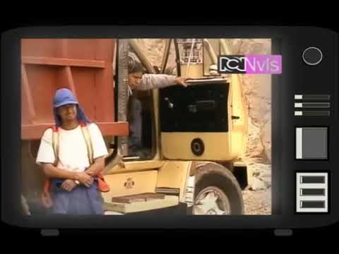 Pandilla guerra y paz Muerte de pingüino