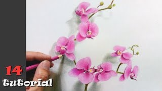 Как нарисовать цветы карандашом ПОЭТАПНО. Учимся рисовать цветными карандашами! Как нарисовать цветы карандашом ПОЭТАПНО. Учимся рисовать цветными карандашами!