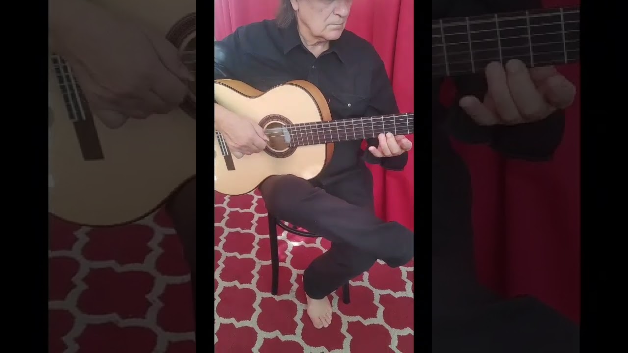 Promotional video thumbnail 4 for Scannura Flamenco