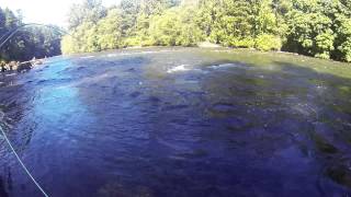 preview picture of video 'Salmon Fishing Campbell River'