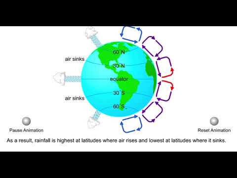 Global Winds with Narration