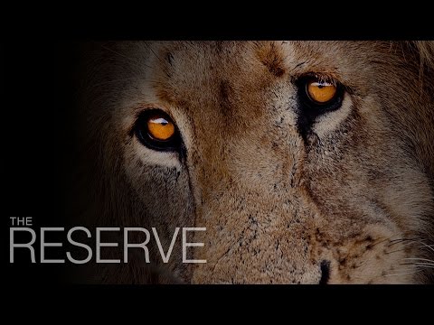 The Reserve
