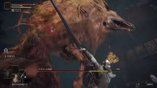 【ELDEN RING】愚民のまま生を終えるエルデンリング【実況】Part３