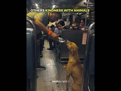 Others kindness with animals vs this dog 😞🥹 #kindness #humanity ##viralvideo #shortvideo