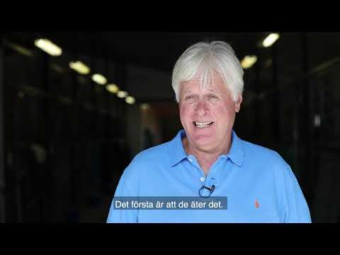 Travtränaren Jerry Riordan om Granngårdens hästfoder