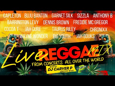 Conscious Reggae Mix#2- “LIVE" Reggae Concert Mix - DJ Carver P