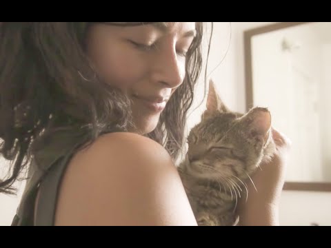 Street Cat Rescue: Kitten Season