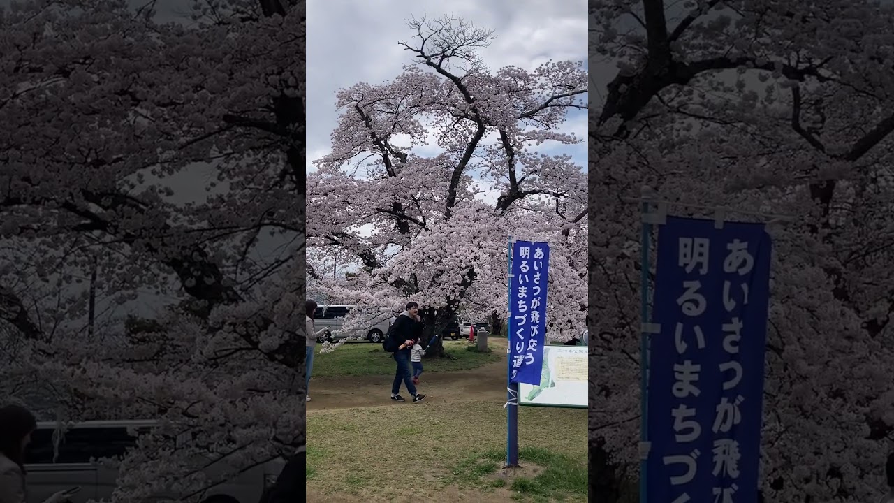 YouTube Short thumbnail