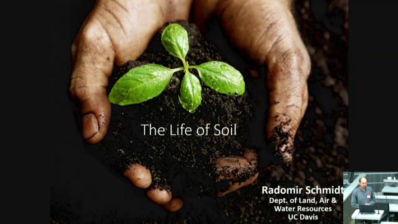 Nature-Based Stormwater Projects: From Microbial to Human Communities