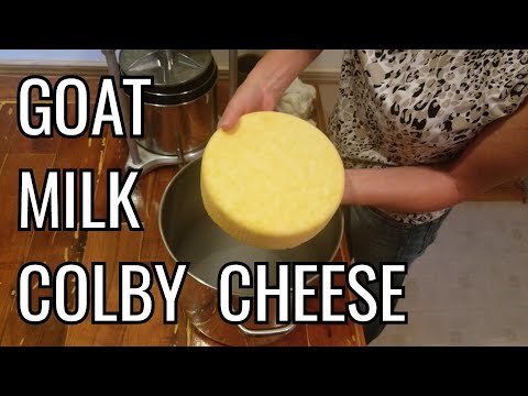 , title : 'Homemade Colby Cheese Made From Goat's Milk'