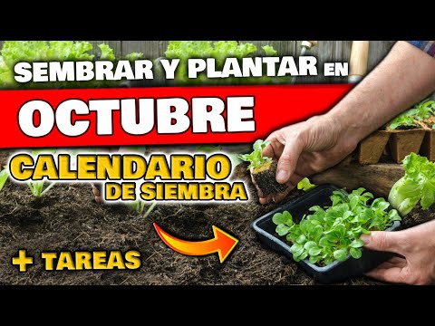 , title : 'QUE SEMBRAR y PLANTAR en OCTUBRE 2021 | Calendario de Siembra + TAREAS | Hemisferio Norte y Sur'
