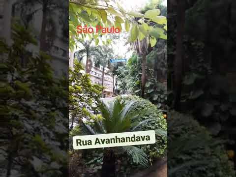 Vida real Rua Avanhandava centro de São Paulo Capital #Avanhandava#sãopaulo