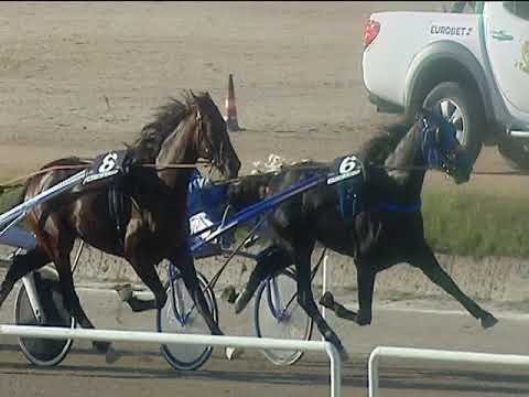 Trotto 28/09/2018 - 4ª corsa