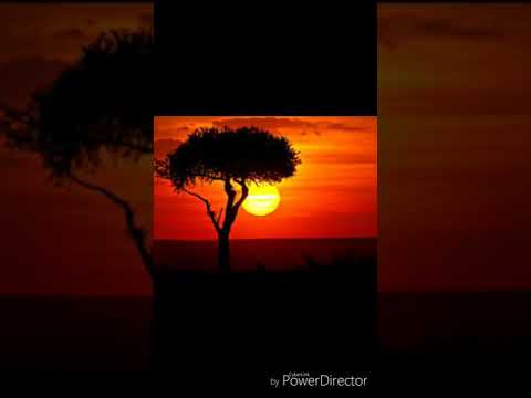 Villager SA ft. Dios 1D - ke apile botse (Afro house) 2019