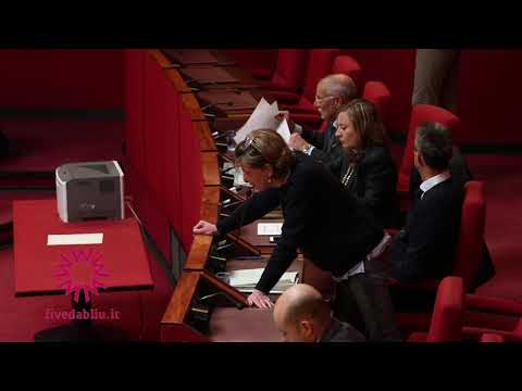 Le risposte dell'Assessore, Francesca Fassio (Politiche sociali)