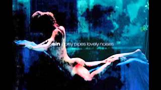 Sin Noisy Pipes Lovely Noises - 02 - Stolen Gestures (french electro industrial rock band)