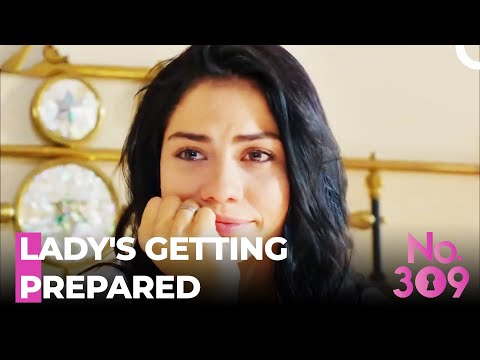 Let The Preparations Begin Tonight - No. 309