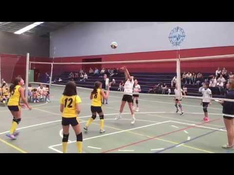 Voleibol | Triangular benjamín - alevín | Colegio Inmaculada Gijón