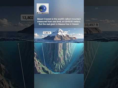 Mount Everest is the world's tallest mountain measured from sea level, at 8,848.86 meters