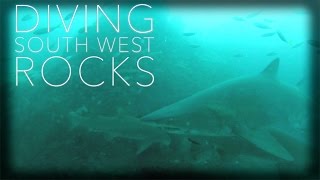 preview picture of video 'Diving South West Rocks'