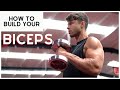 HOW TO BUILD YOUR BICEPS!
