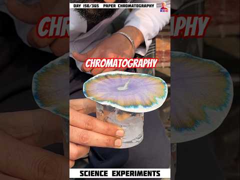 paper chromatography | detect duplicate signature #physics #experiment #shorts